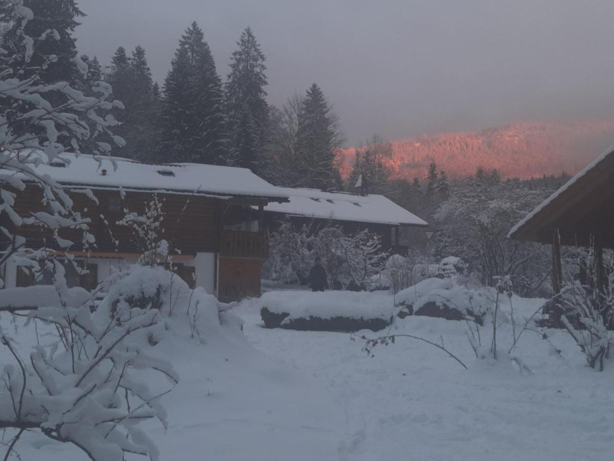 Huettenzauber Ferienwohnung Mitten Im Nationalpark Lindberg Exteriér fotografie
