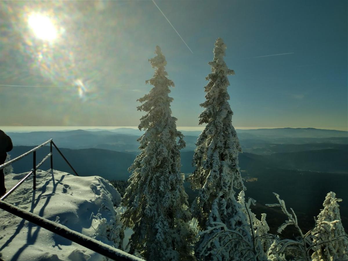 Huettenzauber Ferienwohnung Mitten Im Nationalpark Lindberg Exteriér fotografie